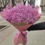 11 розовых гипсофил